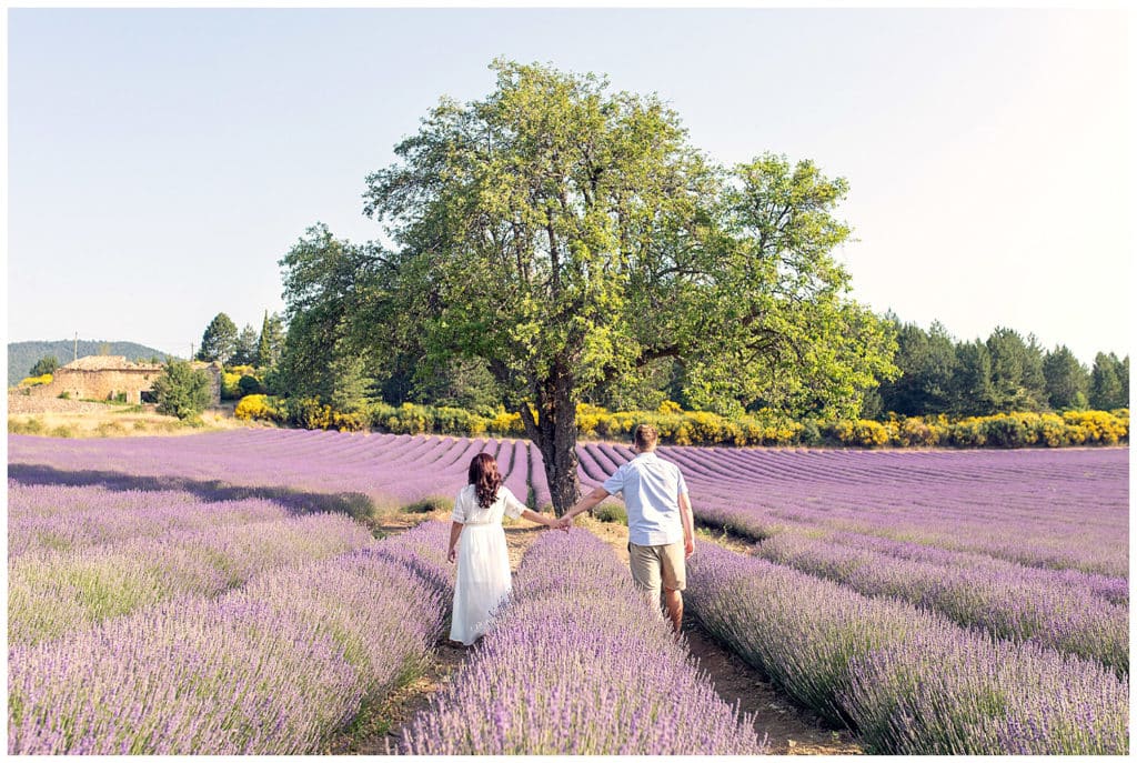 Une séance photo de couple dans les champs de lavande Sault, Provence