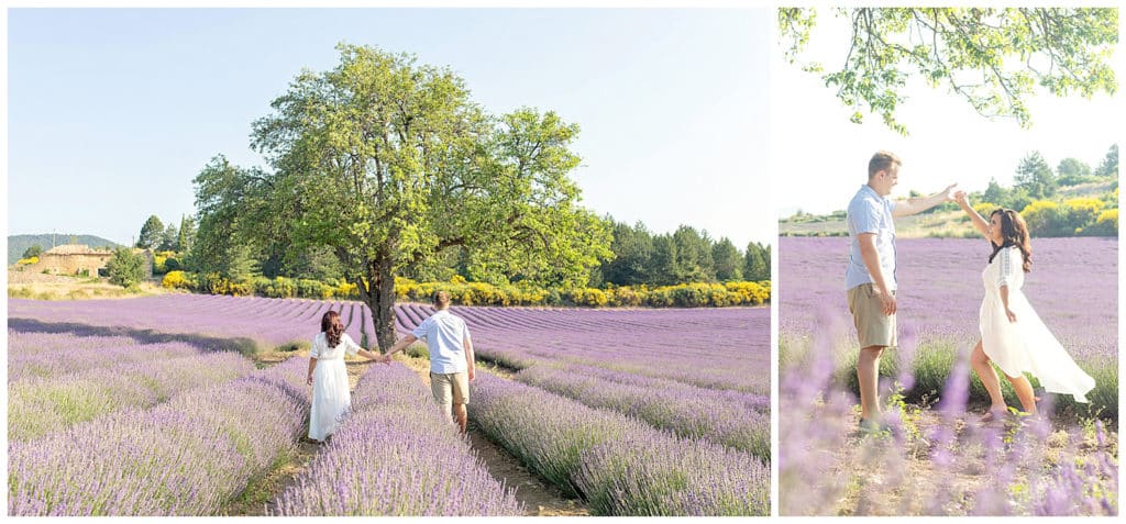 Location for a Provence photo session Sault, lavender fields