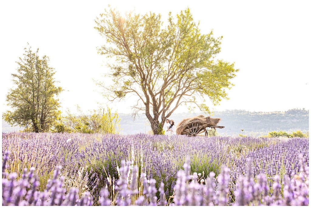 Location for a Provence photo session Sault, lavender fields