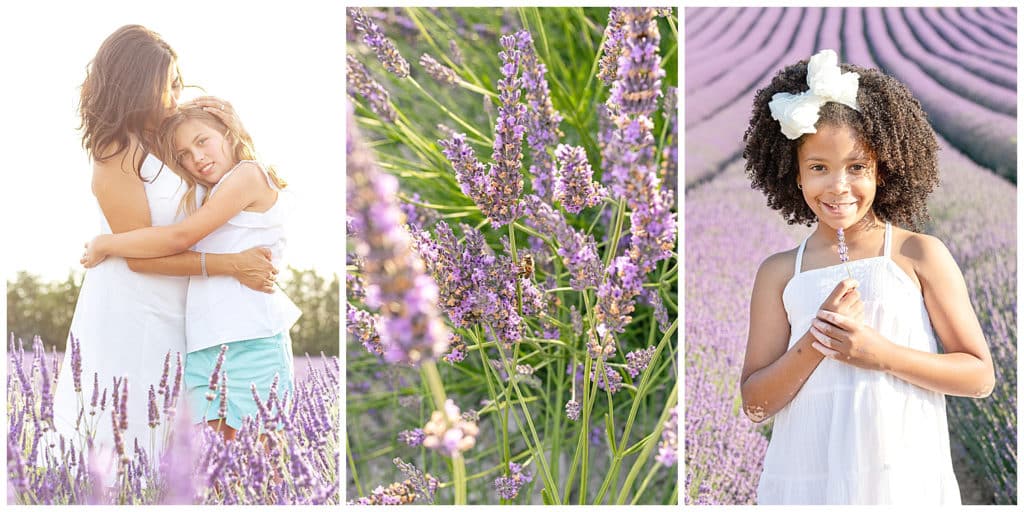 Location for a Provence photo session Sault, lavender fields