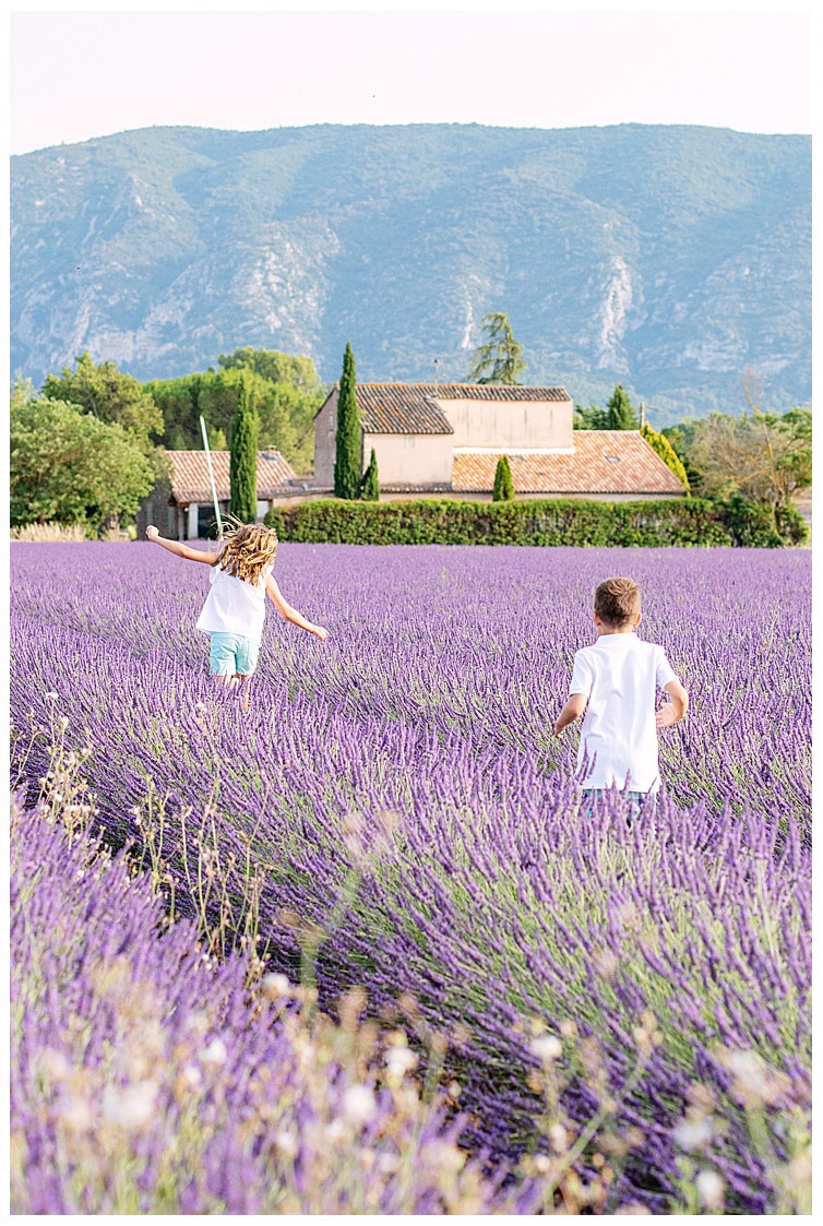 Marie Calfopoulos Photographe Luberon Avignon famille Oppède le Vieux champs de lavande Provence