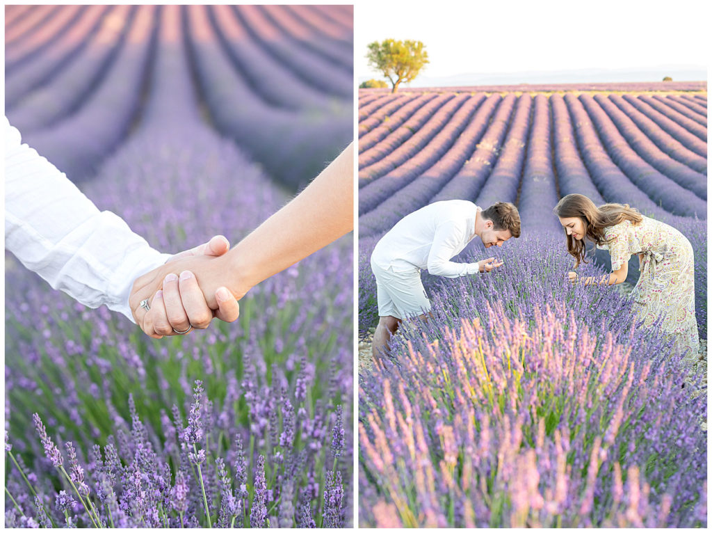 An anniversary photo session in the lavender fields of Valensole, Provence