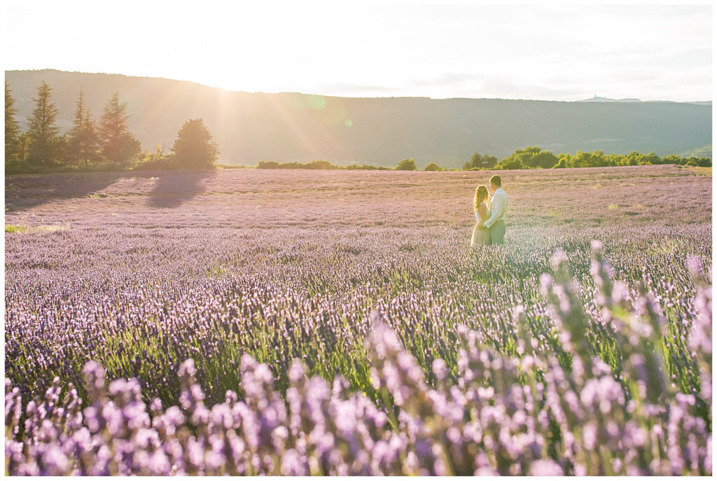 lavender fields in Provence France, Sault photo session with photographer Marie Calfopoulos Photographer