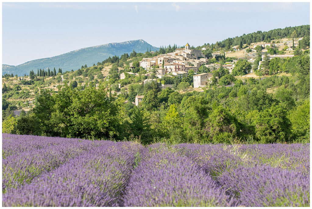 Une séance photo de couple dans les champs de lavande de Sault et dans le village d'Aurel en Provence